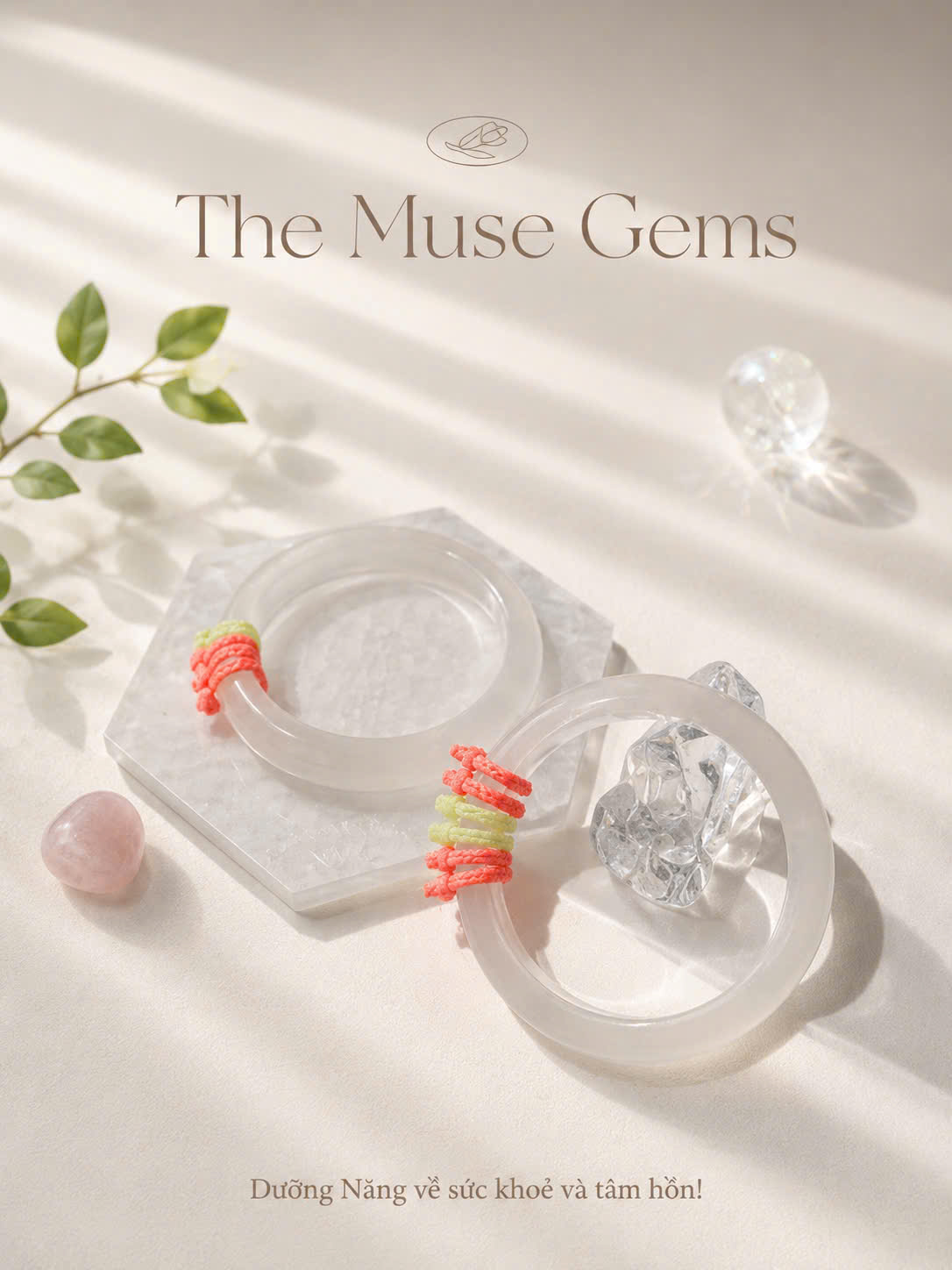 Vòng Bạch Nguyệt Quang nhà Muse